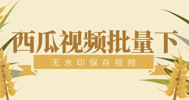 怎么才能下载西瓜视频呢，所有视频批量下载方法