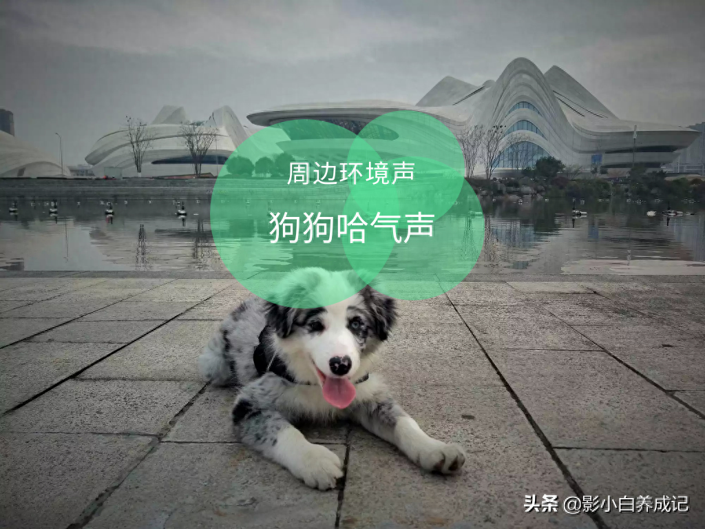 视频剪辑剪掉一部分画面_如何剪掉视频画面中不要的部分_剪掉视频画面的一部分
